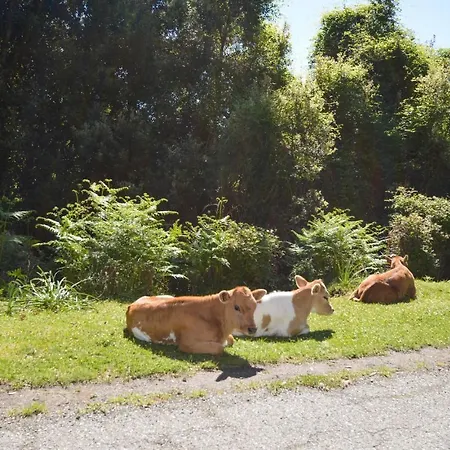 Amazing In Carcheto Brustico * Carcheto