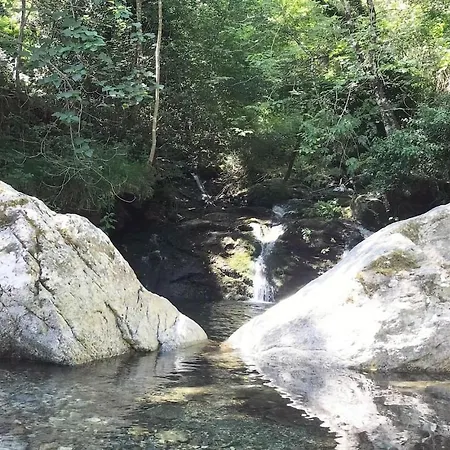 Amazing In Carcheto Brustico