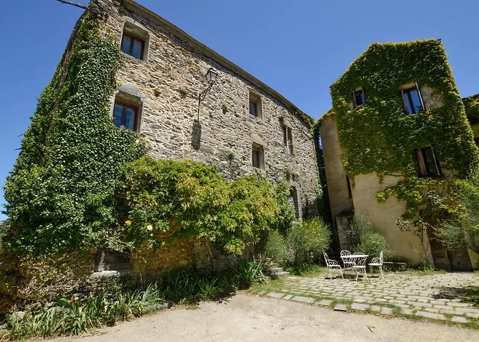 Amazing In Carcheto Brustico *