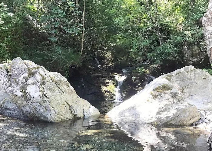 Amazing In Carcheto Brustico